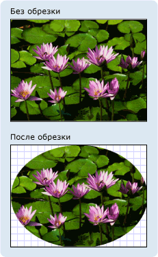 Изображение с обрезкой и без